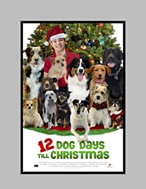 12 kužkov do božiča - 12 Dog Days Till Christmas
