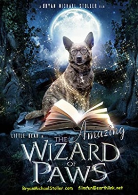 Čarovnik in njegov pes - The Amazing Wizard of Paws