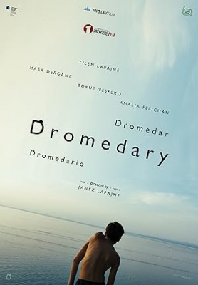 Dromedar - Dromedar