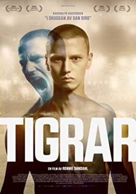 Film tedna: Tigri, film